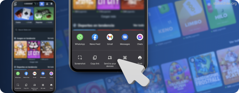 Selecciona la función "Añadir a pantalla de inicio" Stake
